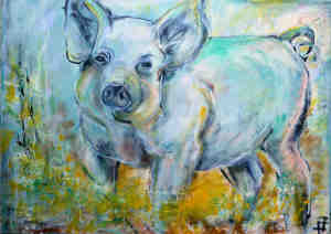 Pig
